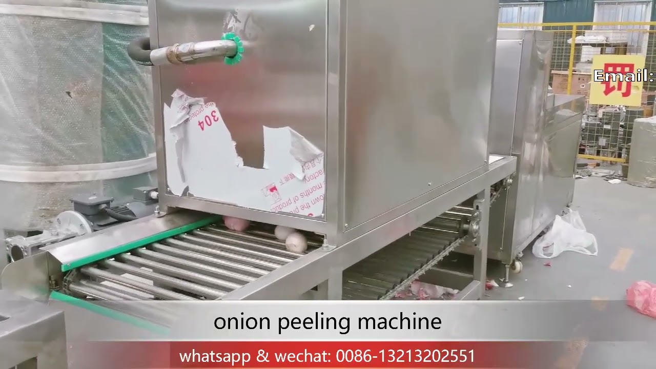 onion head and tail cutting machine with automatic onion skin peeling machine onion processing line