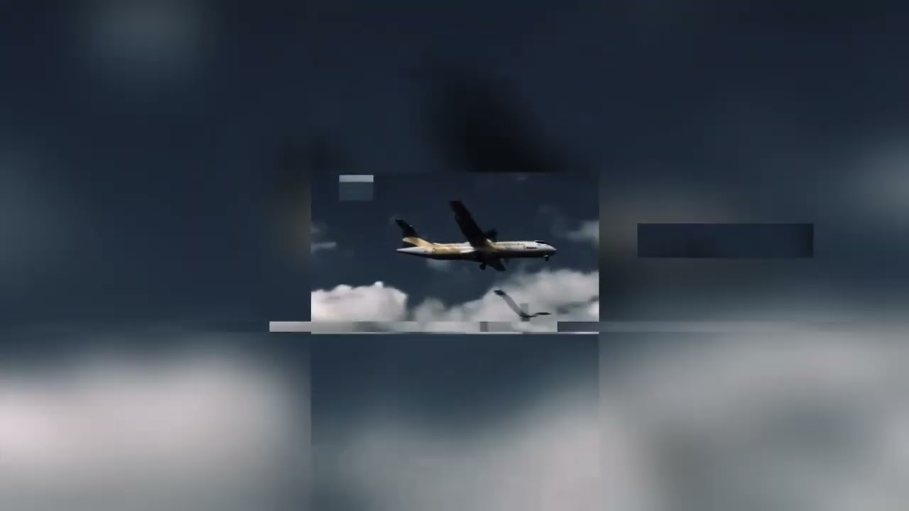 Montagem Mutação Sonora•DJ BNF ORIGINAL E DJ DYLANFK •