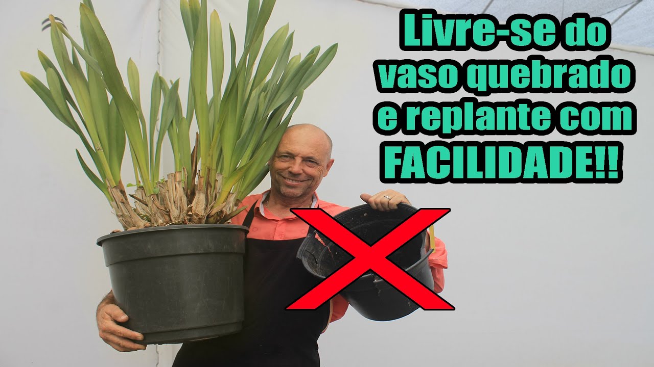 Meu vaso quebrou. E agora?