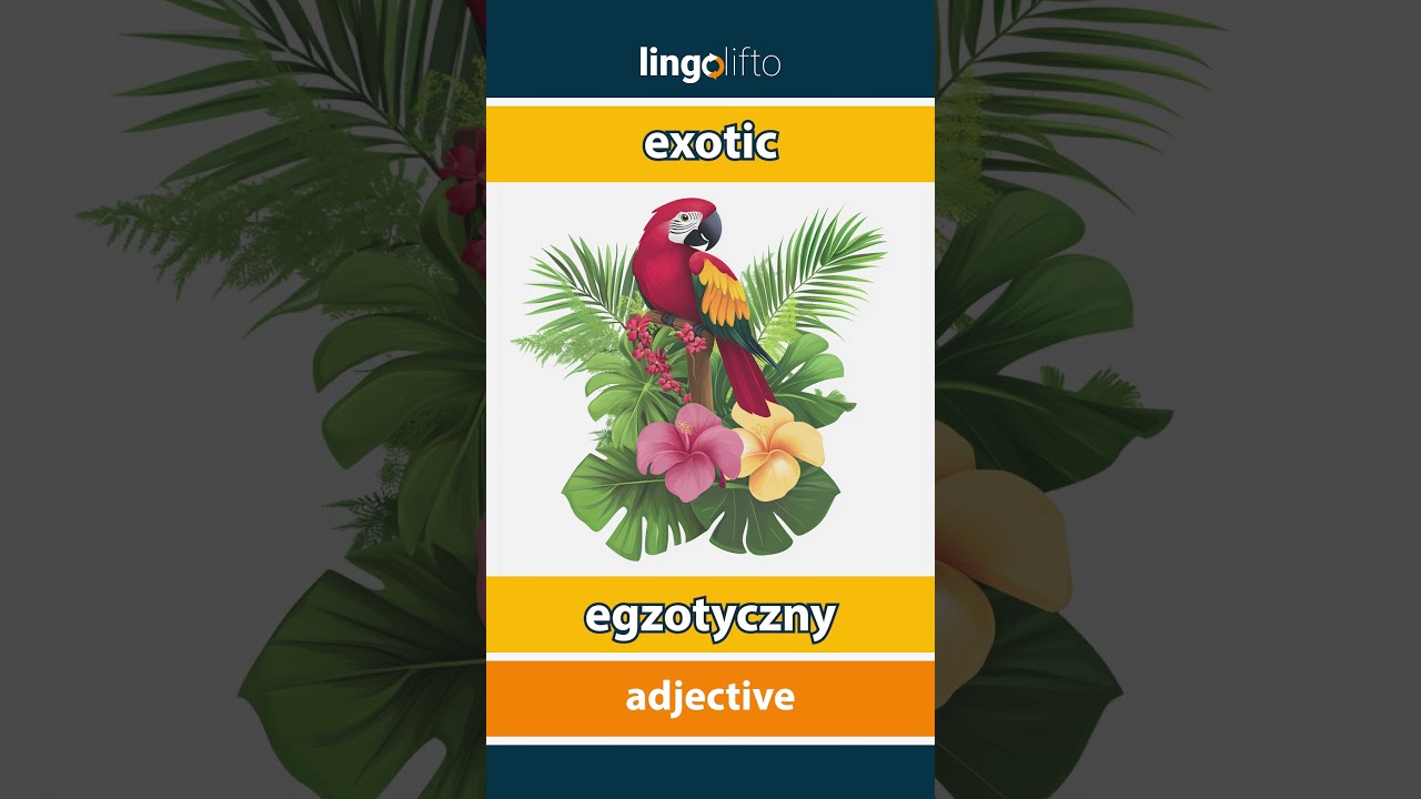 🇬🇧🇵🇱 exotic - egzotyczny : learn English : Uczmy się angielskiego : vocabulary builder