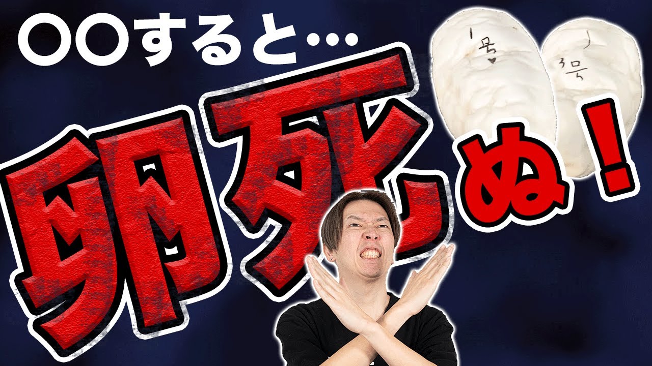 【取扱注意！】ヘビの卵の管理方法についてプロが解説｜ボールパイソン繁殖