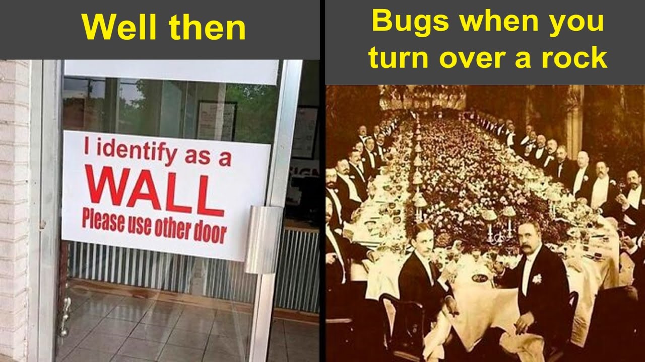 “High Five Expert”: Funny Posts To Make You Smile | Humor Sweet