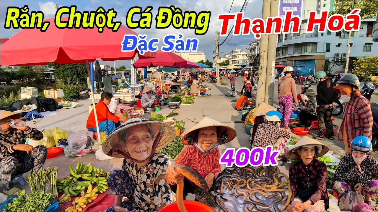 Chợ Cá Đồng, Rắn, Chuột Đồng Ở Thạnh Hoá Long An, Ai Cũng Than Ế Gặp Bà Lão Lớn Tuổi Đáng Thương 