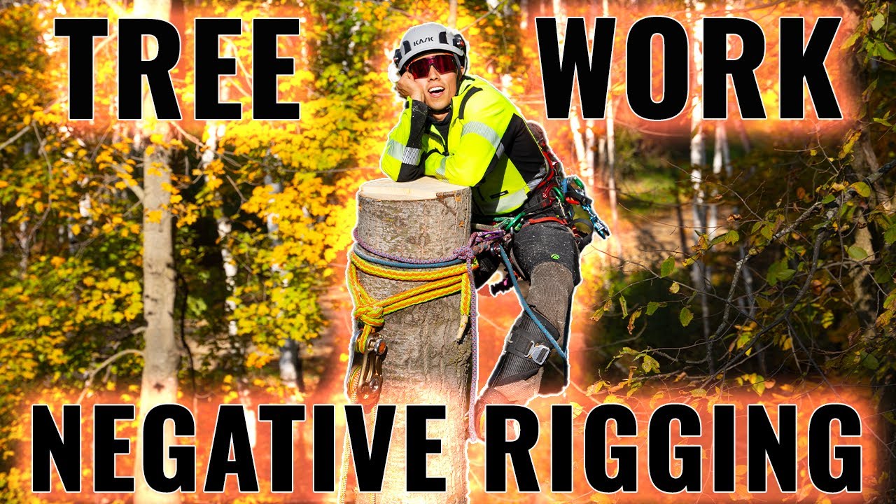 Tree Work: Basics of Negative Rigging!