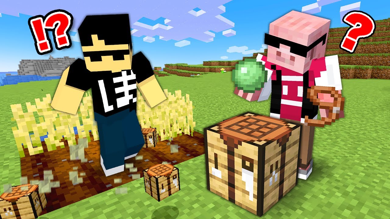 【マイクラ】すべてがデタラメになった世界でエンドラ討伐！