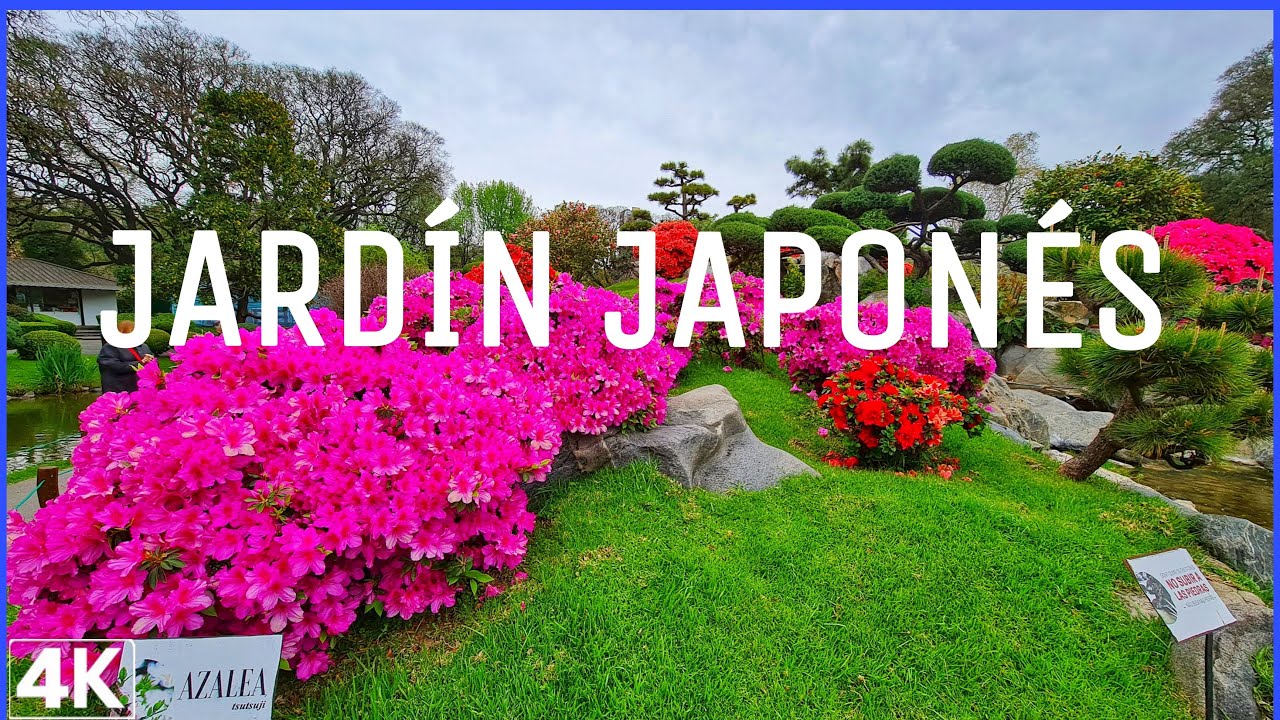 【4K】Buenos Aires, JARDIN JAPONES PRIMAVERA 2021 | ARGENTINIAN SPRING.