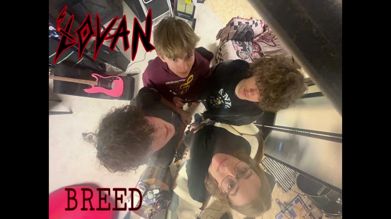 Breed-Nirvana (cover by lovan)