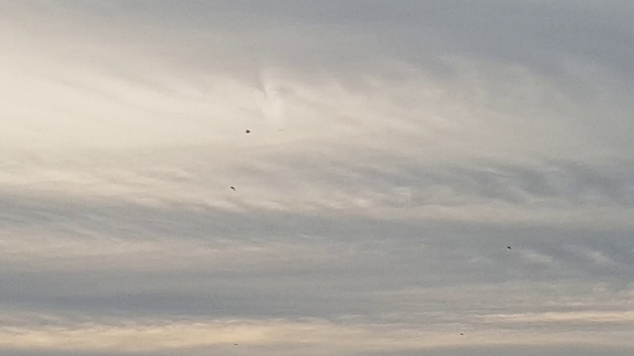 Piloten maken gehakt van wolken boven Assendelft