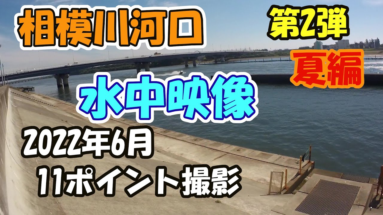 相模川河口　水中映像　第2弾・夏編。2022年6月、11ポイント撮影。