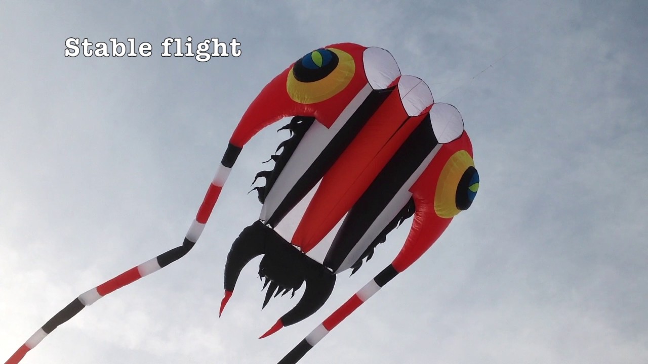 Trilobite kite @ Zeebrugge beach