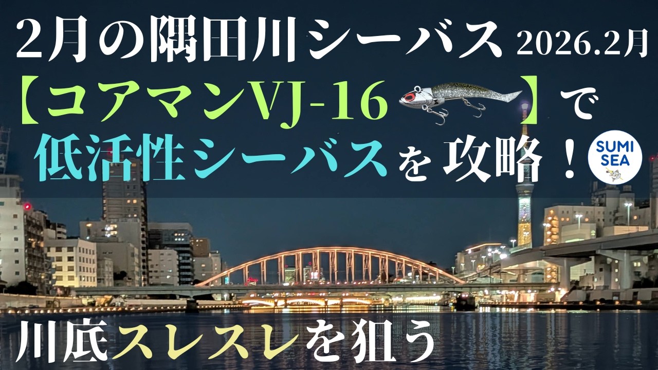2月の隅田川シーバスをコアマンVJ-16で攻略！スミシーチャンネル