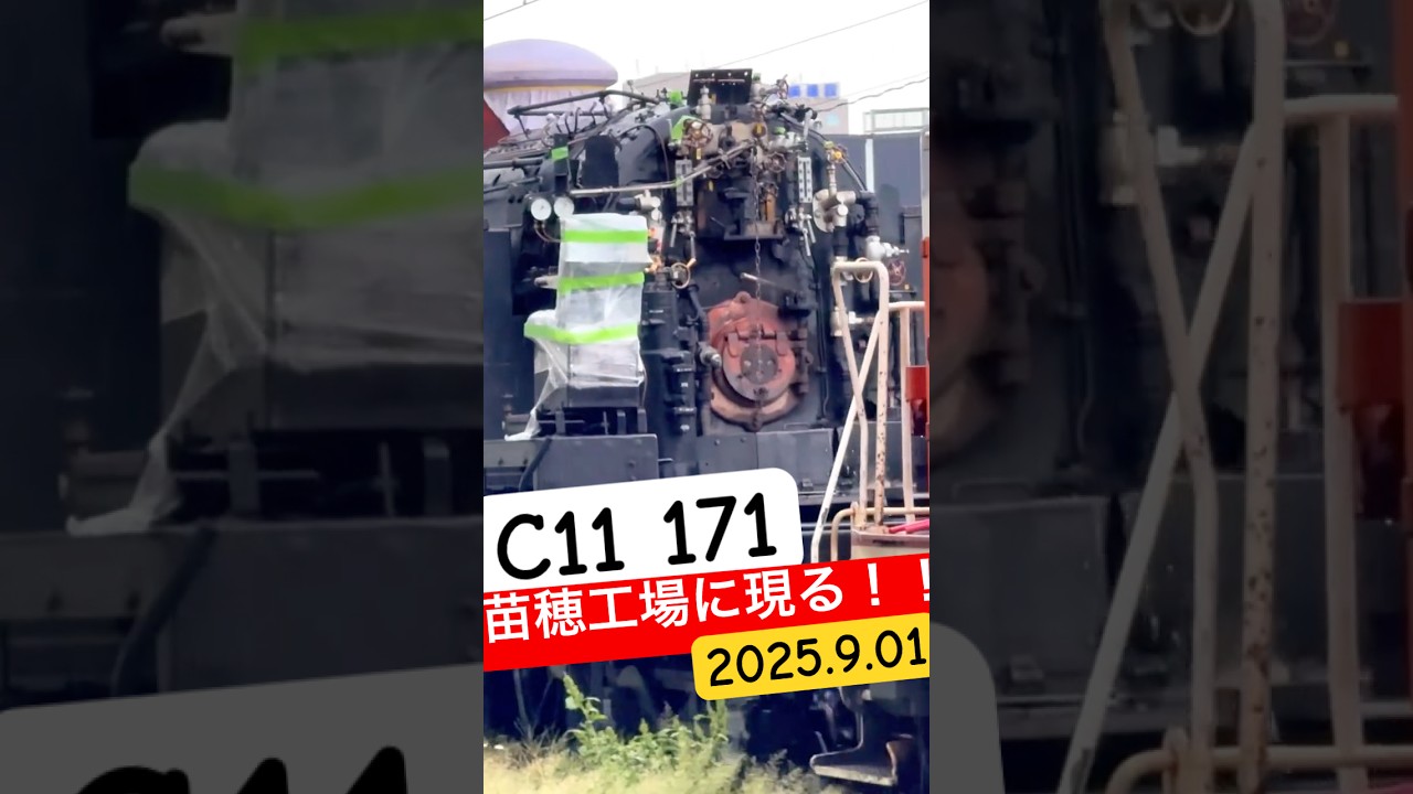 【速報】苗穂工場にC11-171突如登場‼ 衝撃の姿（2025/09/01）