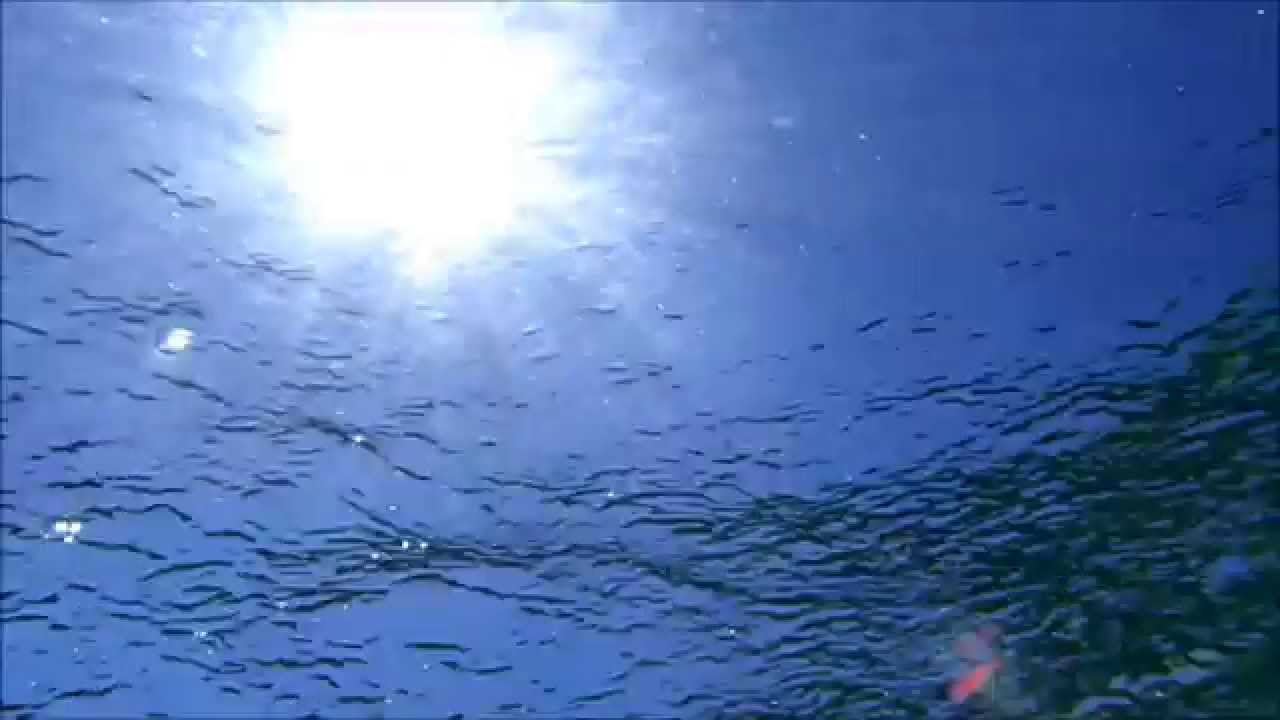 Ελαφόνησος - Πούντα - Παυλοπέτρι