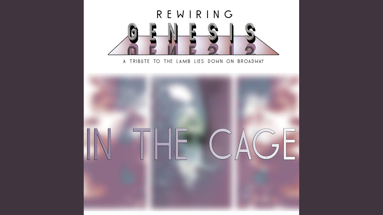 In The Cage