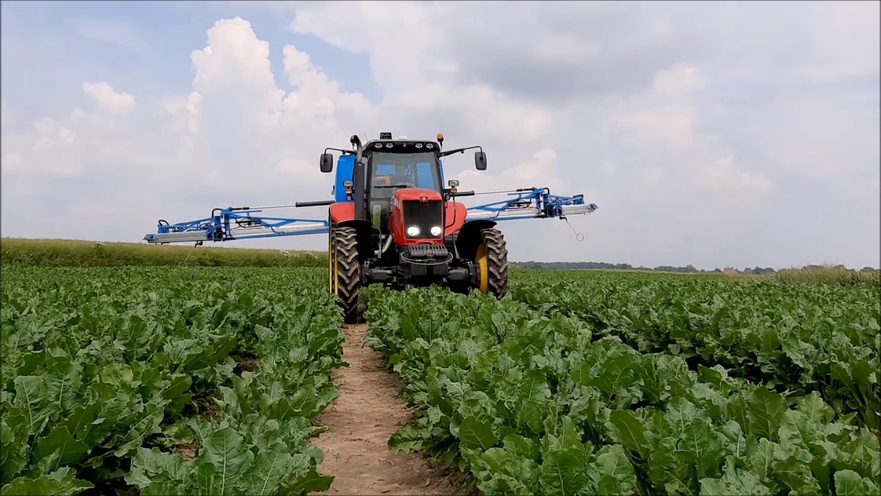 ☀Oprysk Buraków-MF 7495-Lemken Sirius 1900☀
