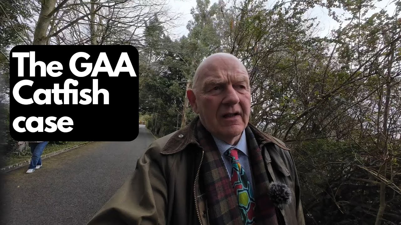 GAA catfish case put back for 2 weeks in High Court