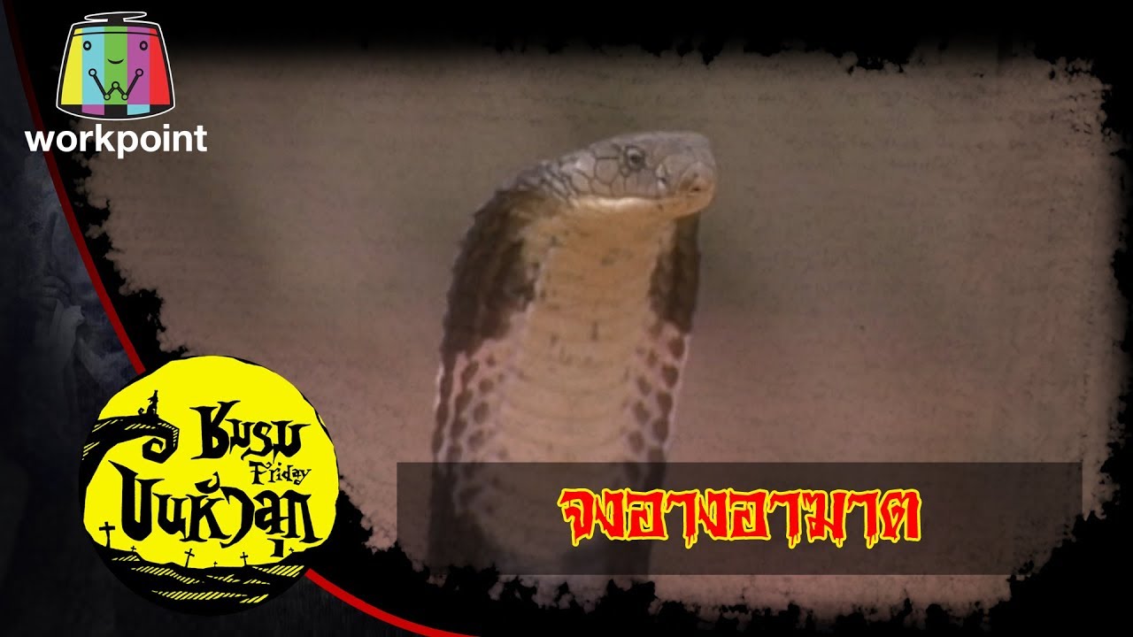 ชมรมขนหัวลุก | ตอน จงอางอาฆาต