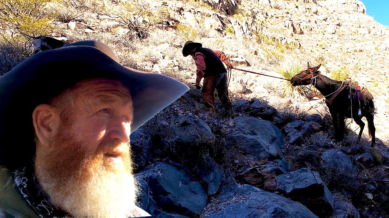 Don't let the old man in... NOT YET !