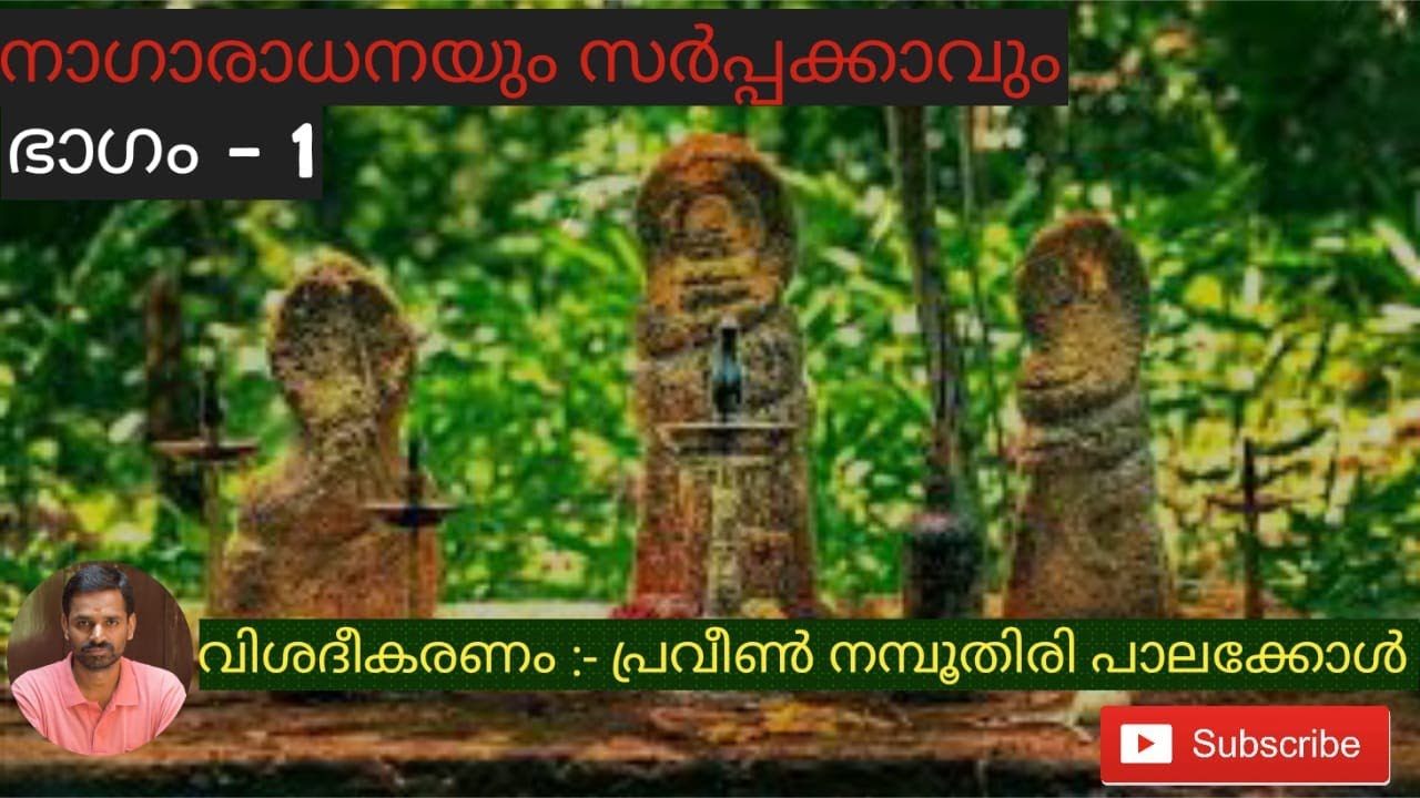 Nagaradhana, Sarppakkavu (നാഗാരാധനയും സർപ്പക്കാവും ) ph 09526040391