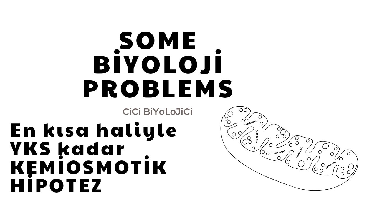 Kemiosmotik Hipotezde Bilmeniz Gerekenler