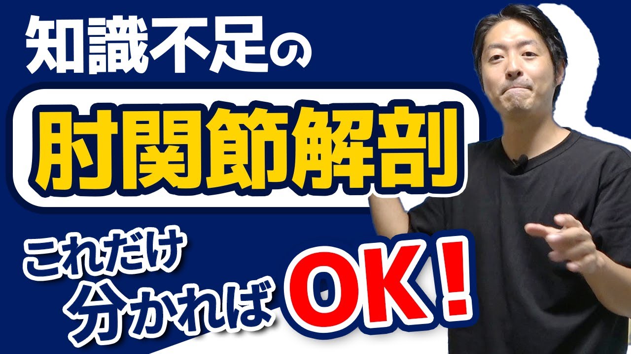 【肘関節治療】苦手な肘！最低限把握すべき解剖知識