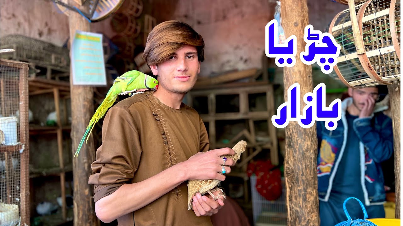 Birds Market Parachinar