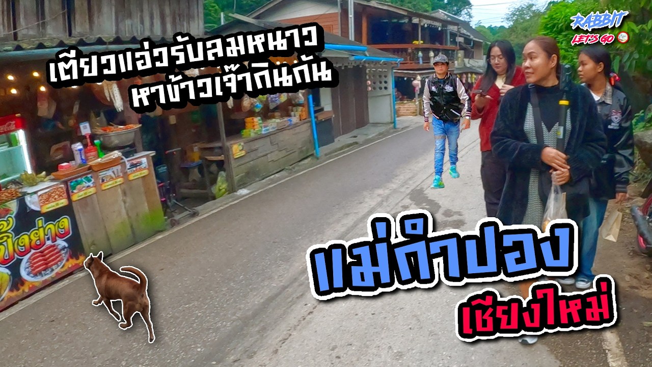 เชียงใหม่ แอ่วเหนือมันม่วนแต๊ EP1 | เตียวแอ่วรับลมหนาวตี้แม่กำปอง! แล้วไปเซาะหาข้าวเจ๊ากิ๋นกันเจ้า