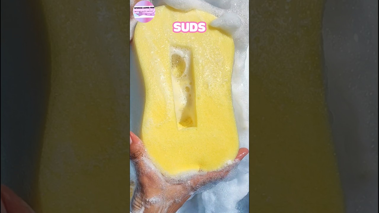 ASMR 💛🧽Big car wash sponges🧽💛Soapy rinsing🫧✨ #shorts #spongerinse #asmrsponge #spongesqueezing