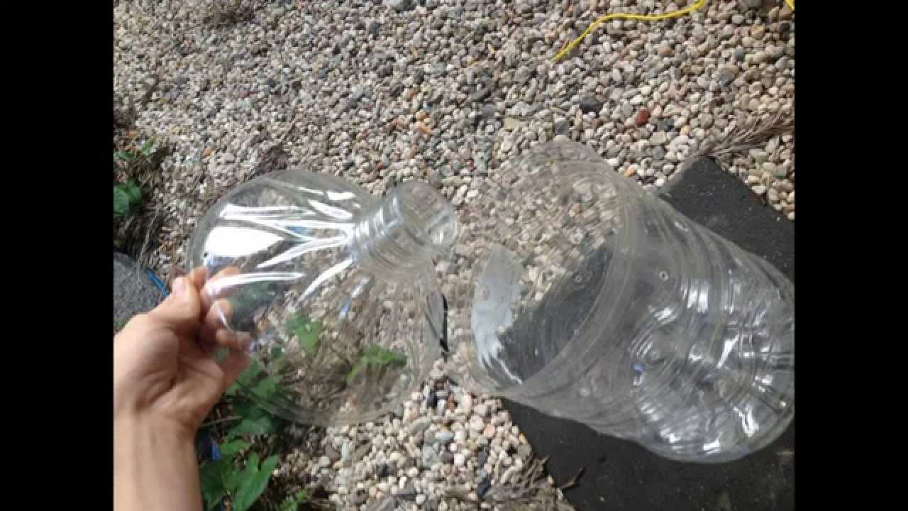 fishing in logan river water ford :: what to expect
