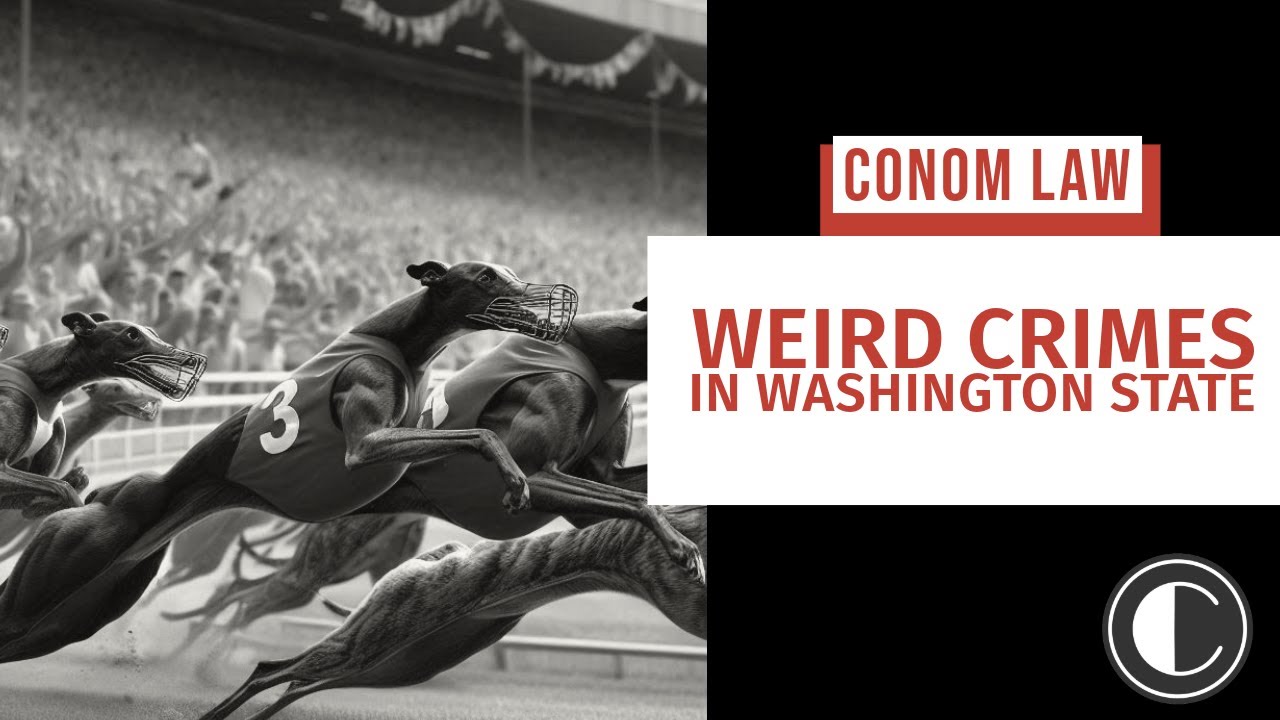 Weird Crimes in Washington | Washington State Criminal Defense Lawyer