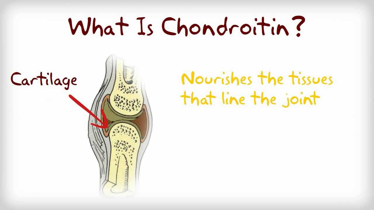 Benefits Of Chondroitin For Dogs - Why Give Your Dog Glucosamine And Chondroitin?