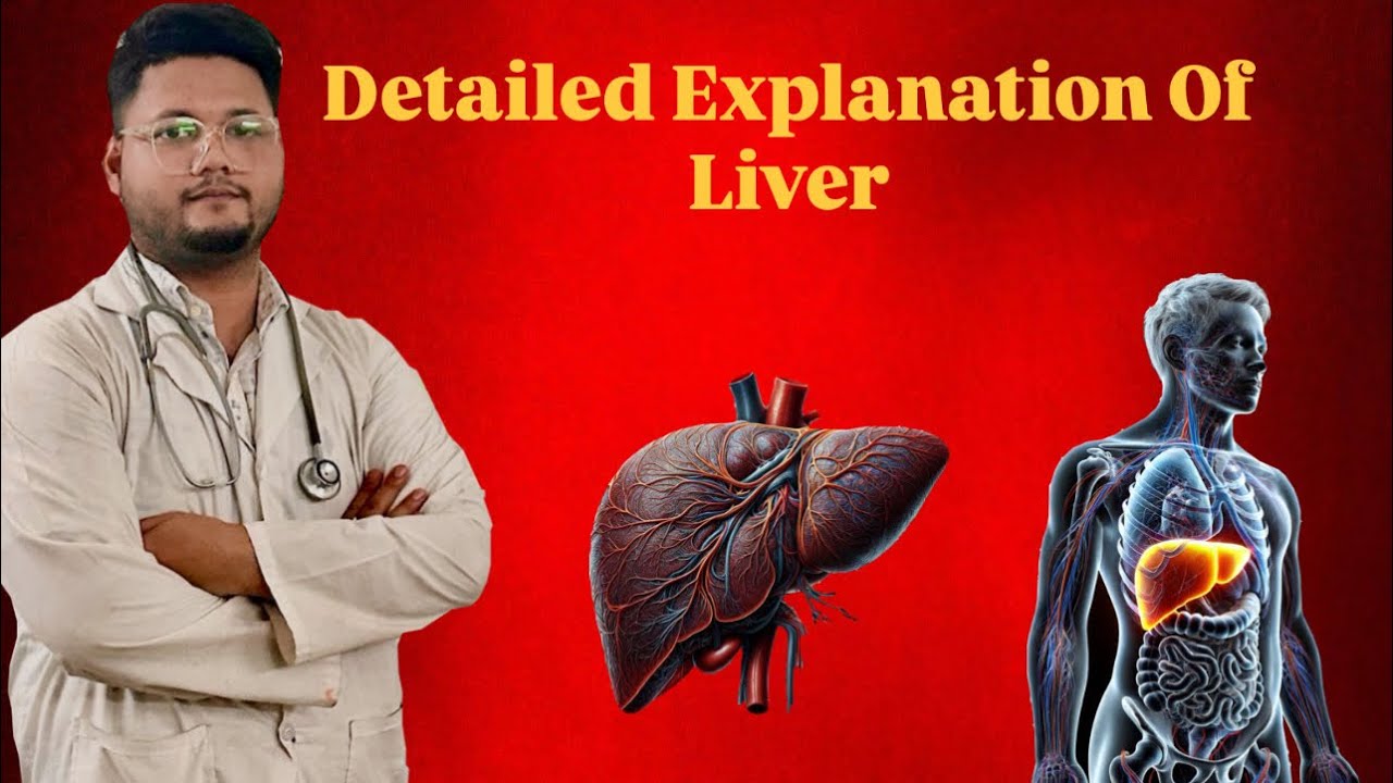 Detailed Explanations Of Liver . Liver Ke Baree Mein Jankari.