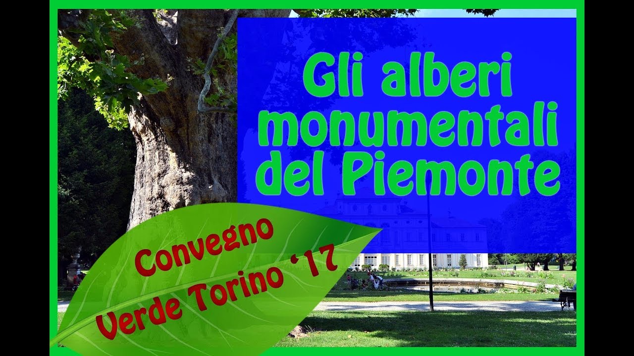 Gli alberi monumentali del Piemonte - Convegno Verde Torino 2017