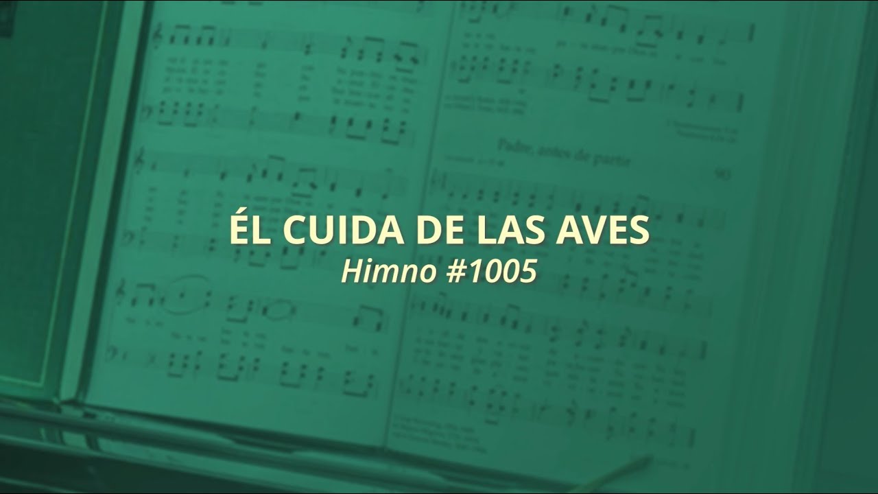 Él cuida de las aves Himno # 1005 (Himnos — Para el hogar y la Iglesia)