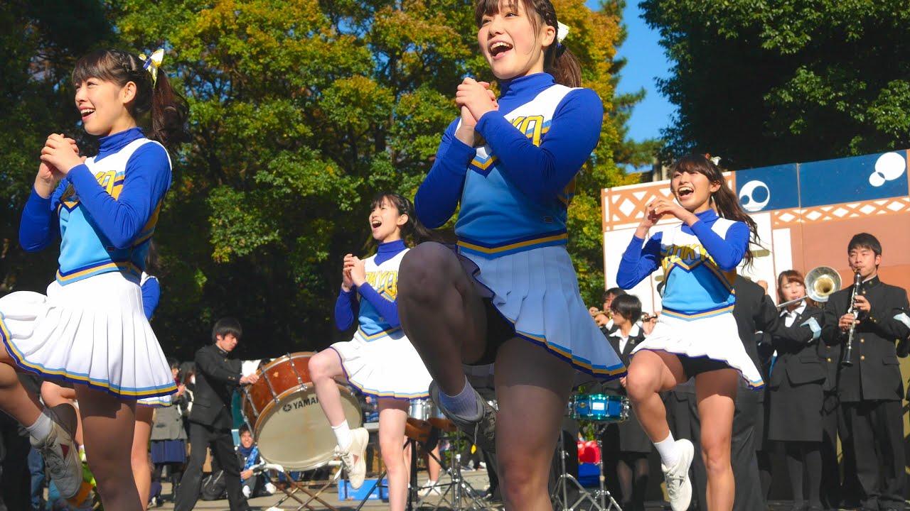駒場祭2016 チャンスパターンメドレー&応援歌 東京大学運動会応援部 チアリーダーズ KRANZ