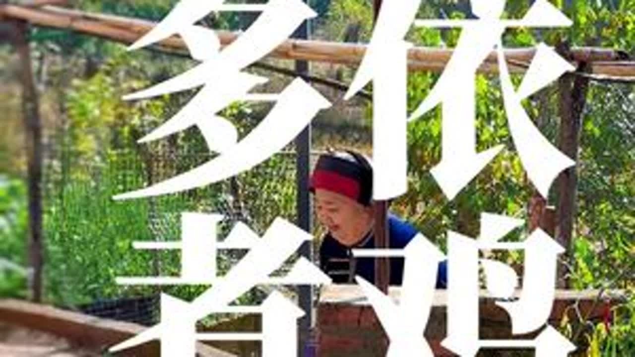 都说人生充满了酸甜苦辣，可我们忘了，人生是可以自己选择的， 可以不要苦，可以不要辣，但为什么我们却习惯了吃苦，没有苦也要硬吃苦？#大山里的味道 #酸多依 #杞妈妈小院的黄焖鸡
