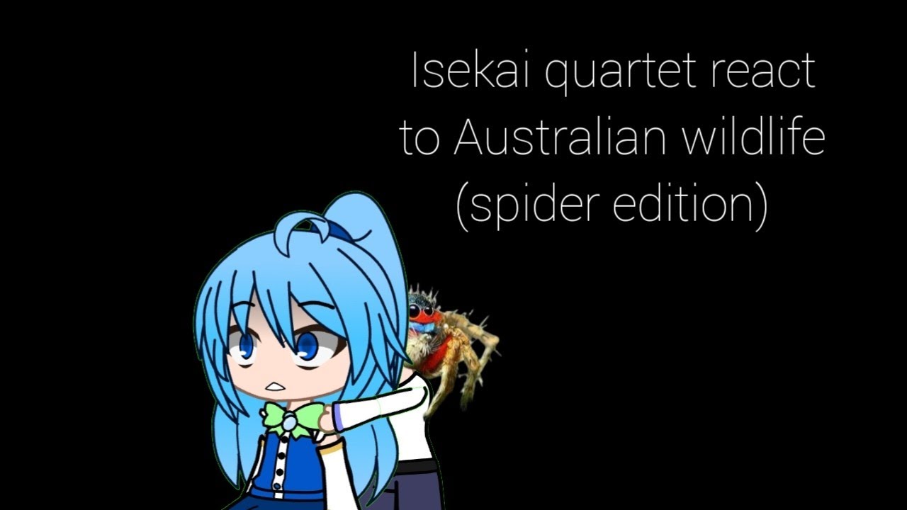 Isekai Quartet react to Australian wildlife (spider edition)