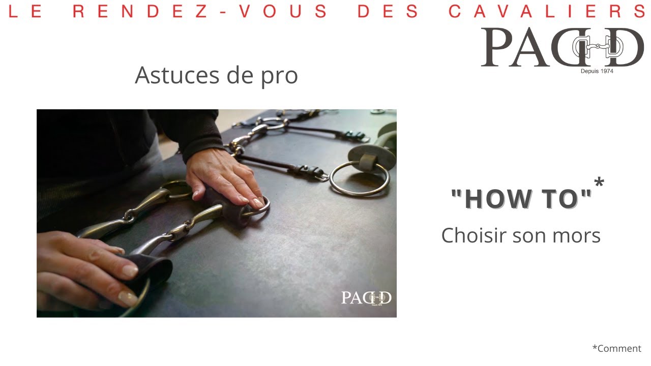 PADD - Astuces de pro : Comment choisir son mors ?