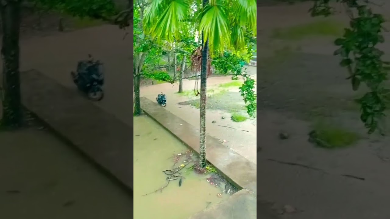 Damn this flood in our school again... #flood #floods #school #schoollife #flooding #floodstory