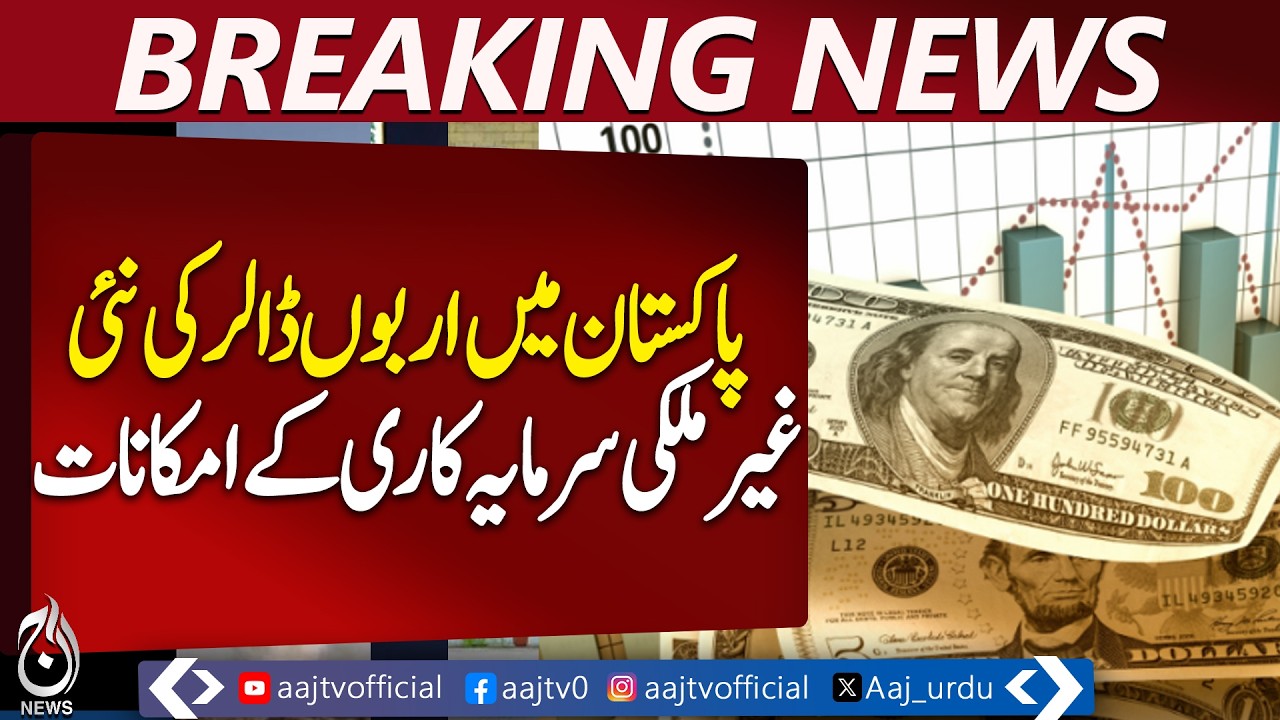 Pakistan Foreign Investment Opportunities | Global Investors Eye Pakistan | SIFC Update