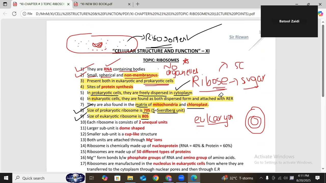 CELL STRUCTURE & FUNCTION II LECTURE 9 II RIBOSOMES II Dr.Rizwan