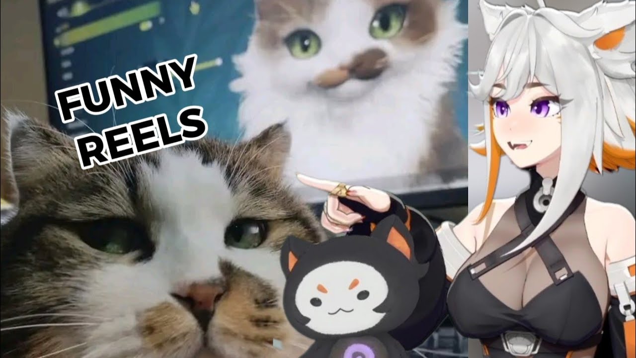 DEME REACT | CRAZY REELS MEMES COMPILATION