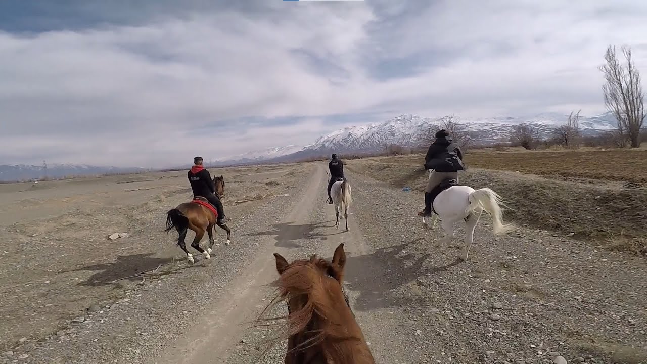 Atlar ve Uzaklar 42: Bosnalı, Safari Atlı Spor ve Binicilik Kulübü, Erzincan