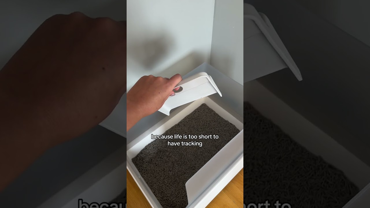 THIS Is Your Sign To Make The SWICH To Low Tracking Cat Litter