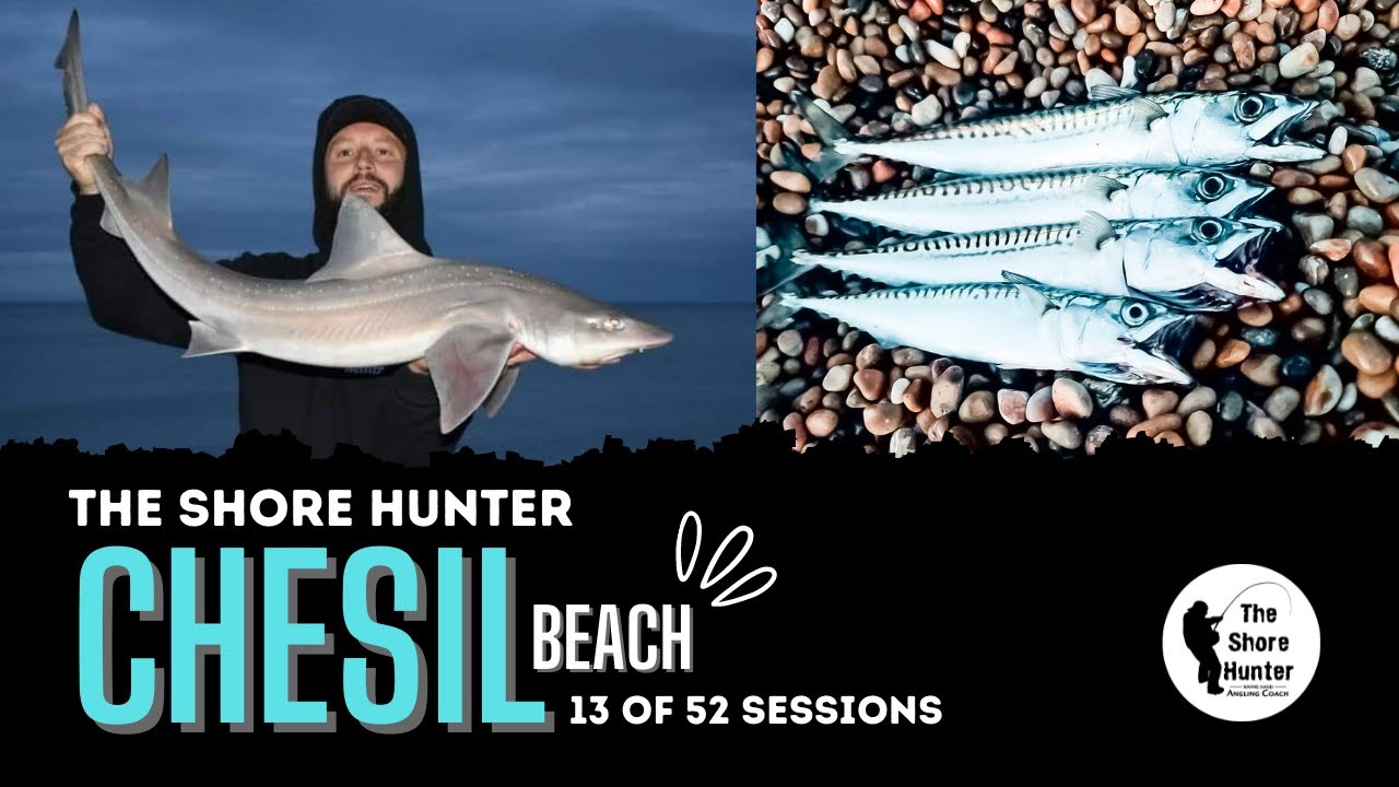 UK SHORE FISHING CHESIL BEACH SEA ANGLING THESHOREHUNTER WAYNE HAND DORSET HOUND MACKEREL 13 OF 52