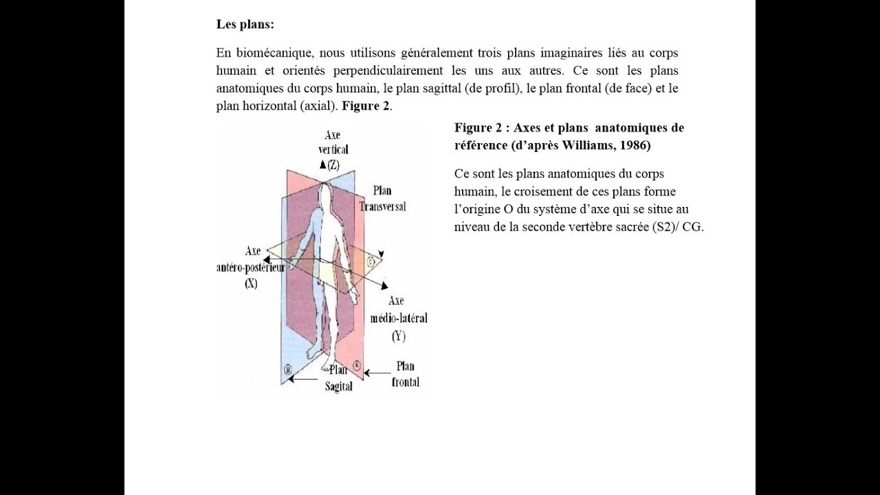 Les Plans et axes avec des exemples pour les candidat(e)s désirant(e)s participer aux concours :EPS