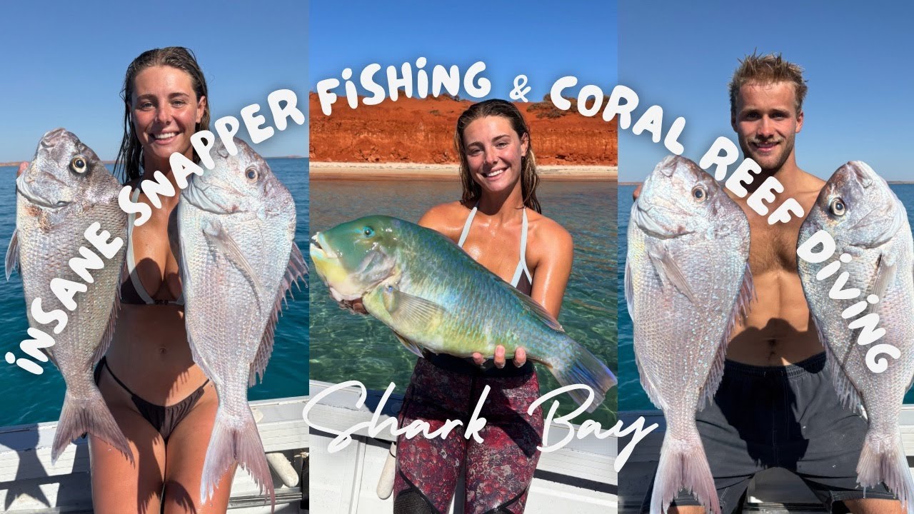 Travel Aus Episode 15: Shark Bay - Snapper, Mulloway, Coral Trout & Blackspot Tuskfish