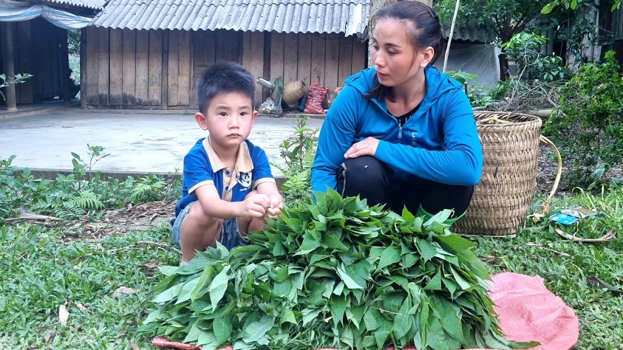 Single mother:Collect wild vegetables with your children to sell at the market to earn extra income