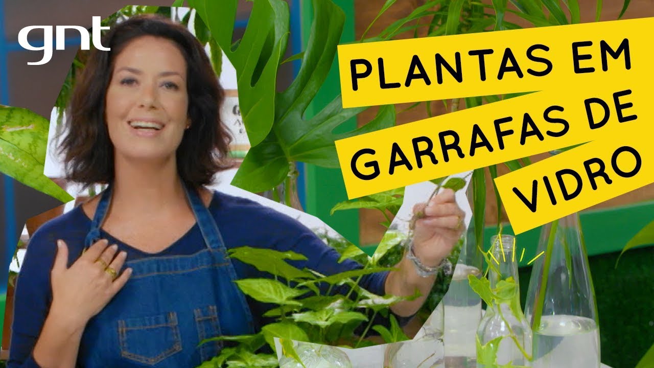 Como fazer um jardim em garrafas de vidro | Jardinagem | Gabi Pileggi