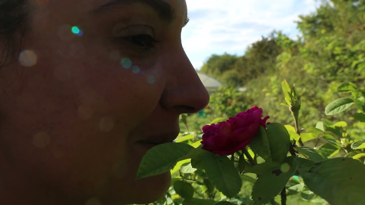 Écolieu les Jardins de Miramont